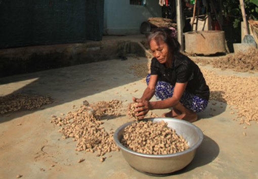 Giúp dân nghèo miền Trung ứng phó với bão, lũ 